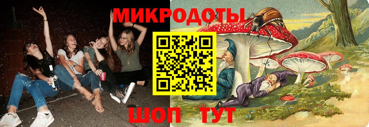 Кыштым  Галлюциногенные грибы Cubensis  Вход с VPN 
