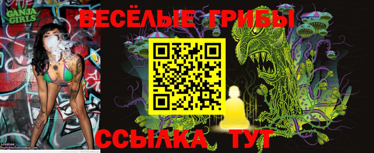 Галлюциногенные грибы прущие грибы Кыштым