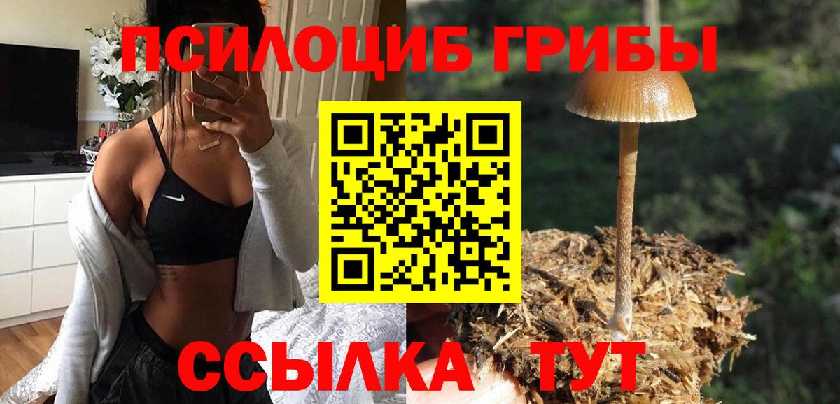 ГАШИШ Кыштым